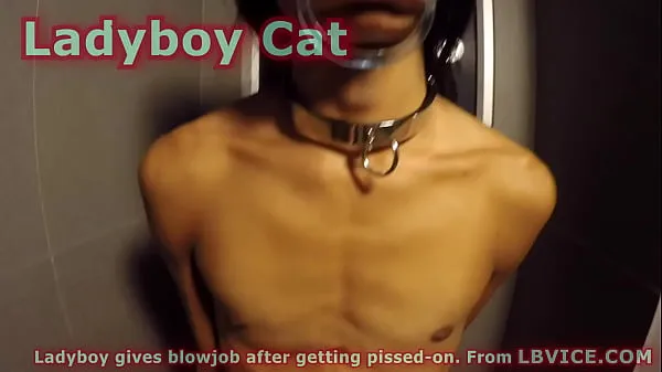 Sehen Sie sich Ladyboy Cat gibt Blowjob, nachdem sie angepisst wurde neuen Videos an